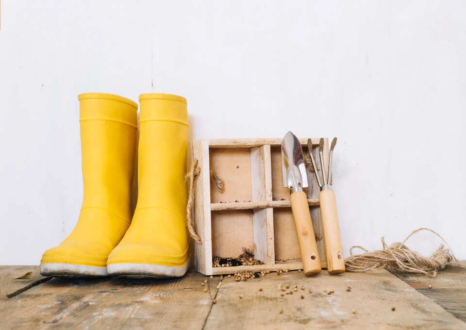 育新笙有限公司的產品介紹圖片